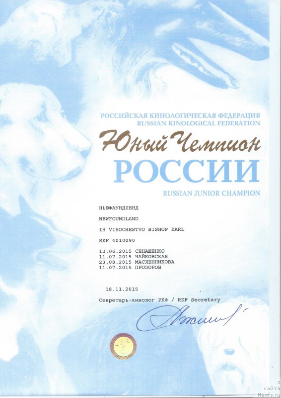 Фото: ньюфаундленд Ih Visochestvo Bishop Karl (Их Высочество Бишоп Карл)