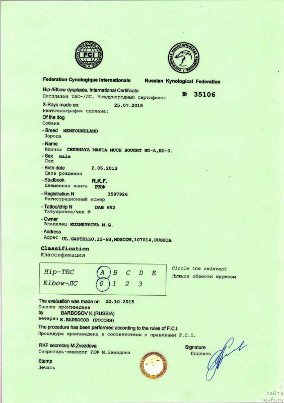 Фотография № 196840