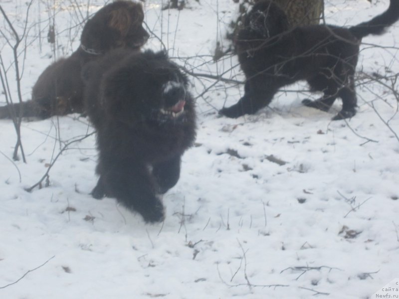 Фото: Natal'ya Smazchikova (Наталья Смазчикова)