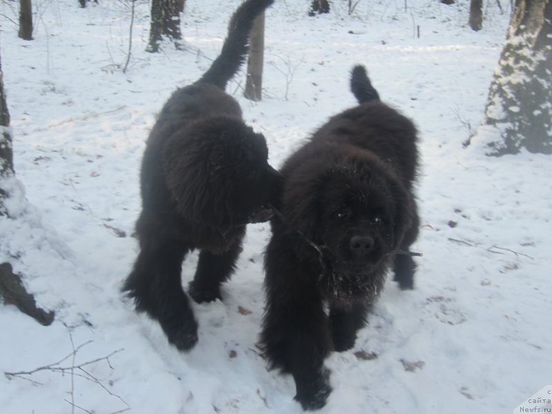 Фото: Natal'ya Smazchikova (Наталья Смазчикова)