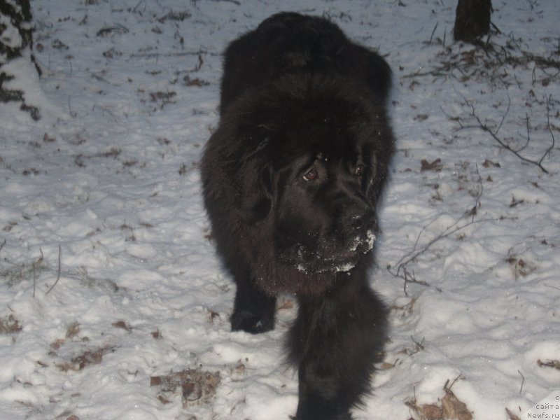 Фото: Natal'ya Smazchikova (Наталья Смазчикова)