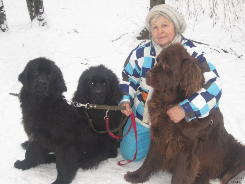 Фото: Natal'ya Smazchikova (Наталья Смазчикова)