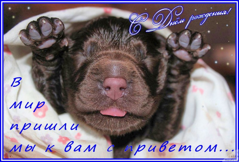 Фотография № 196915