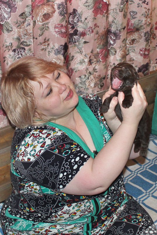 Фотография № 196948