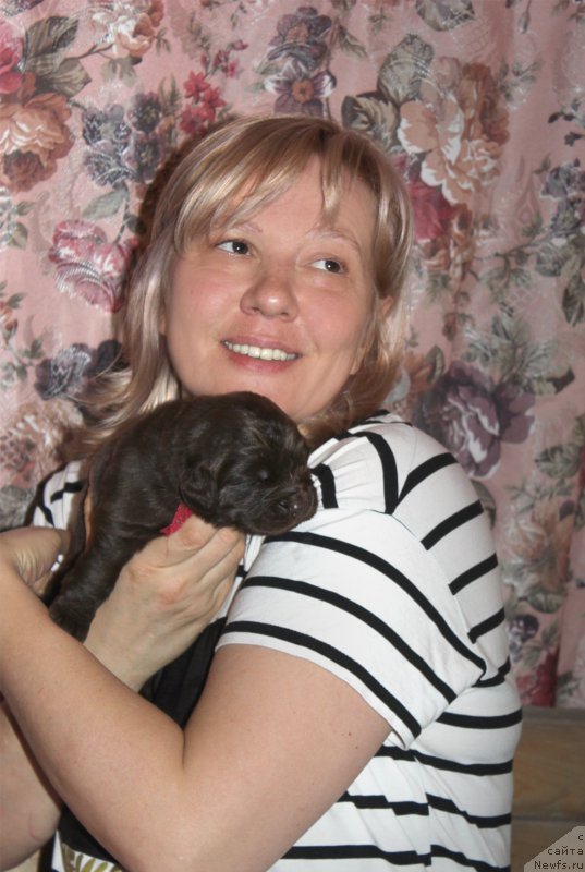 Фотография № 196950