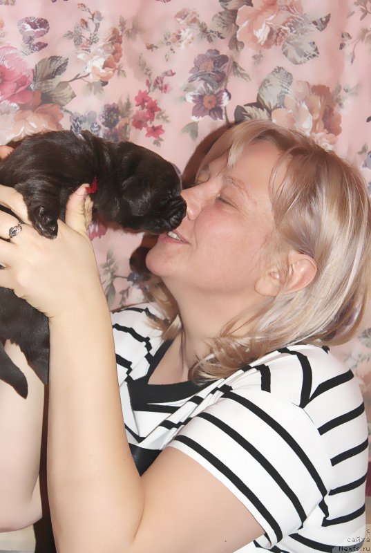 Фотография № 196951