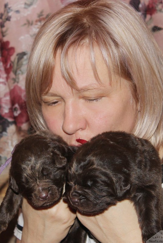 Фотография № 196952