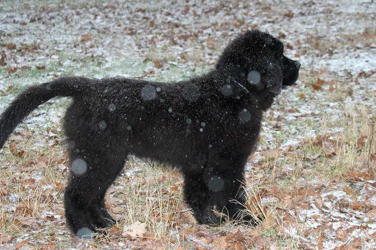 Фотография № 196966