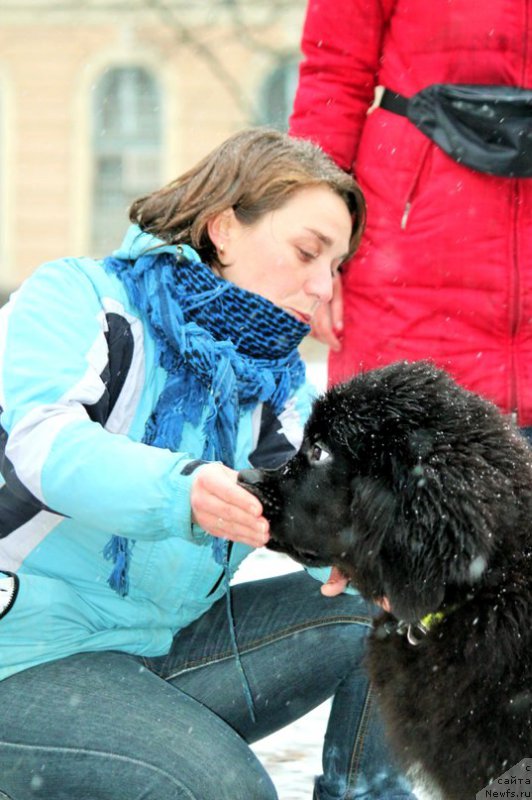 Фотография № 196969