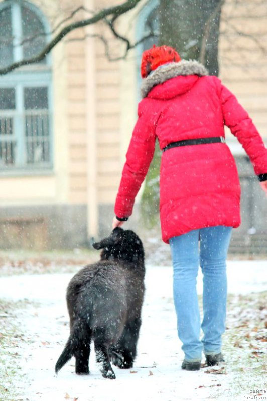 Фотография № 196971