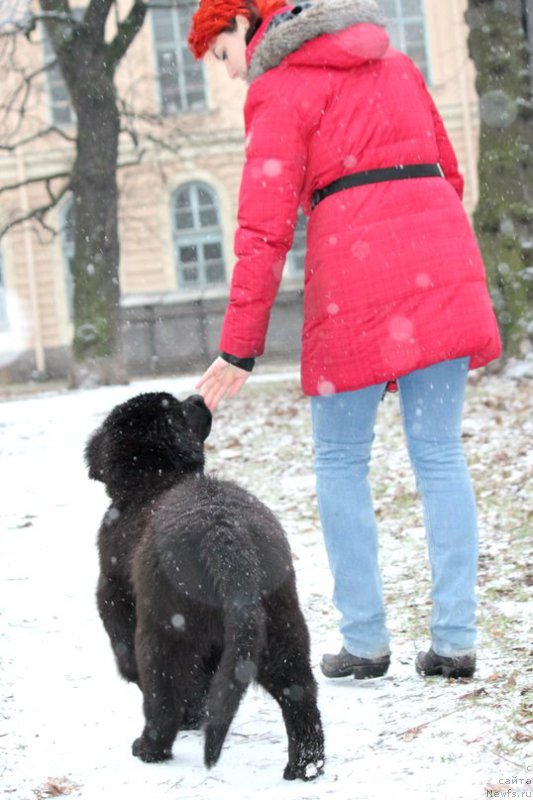 Фотография № 196972