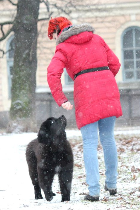 Фотография № 196973