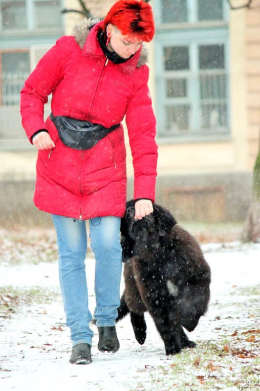 Фотография № 196974