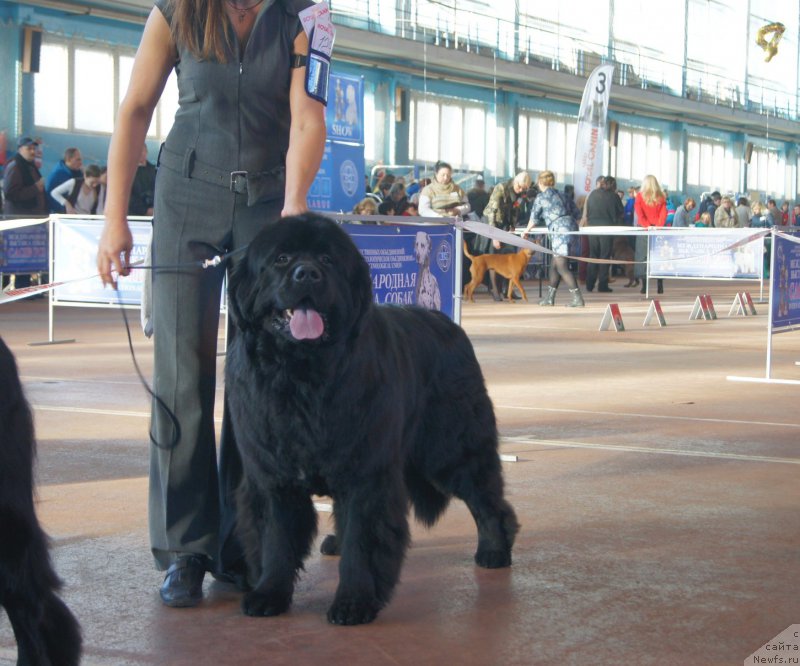 Фотография № 196983