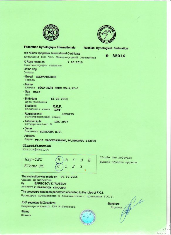 Фотография № 196985