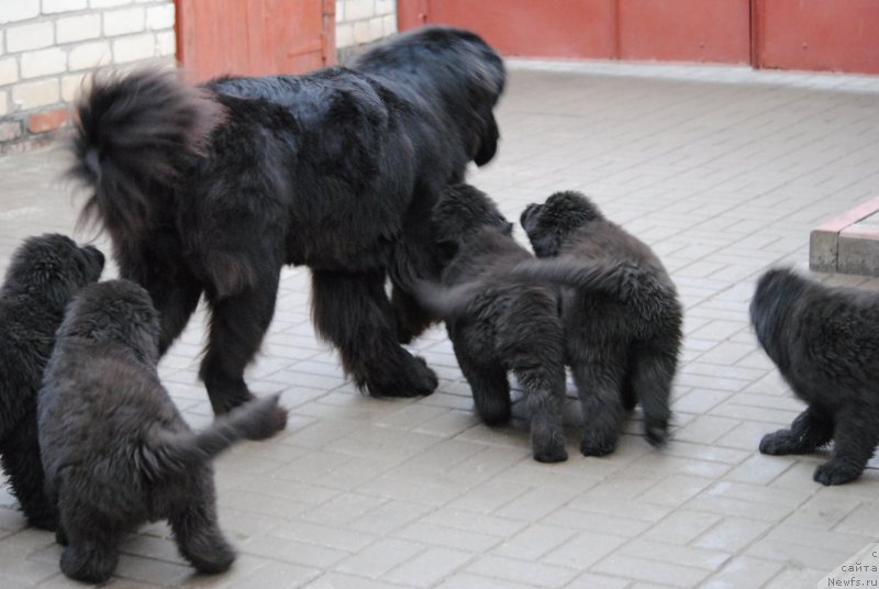 Фотография № 197113