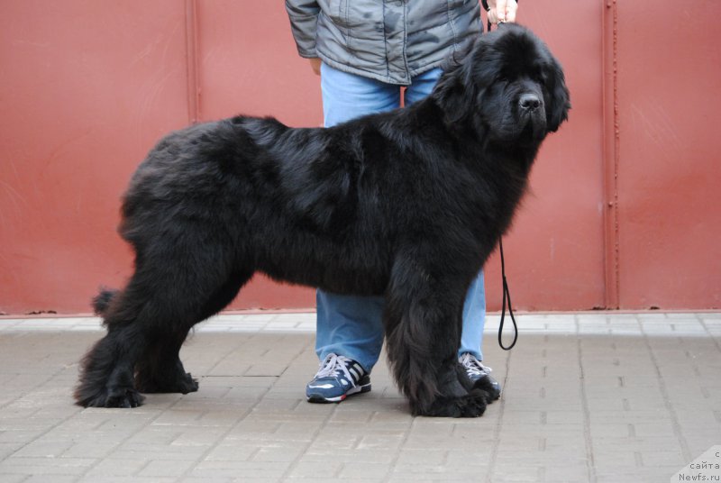 Фотография № 197126