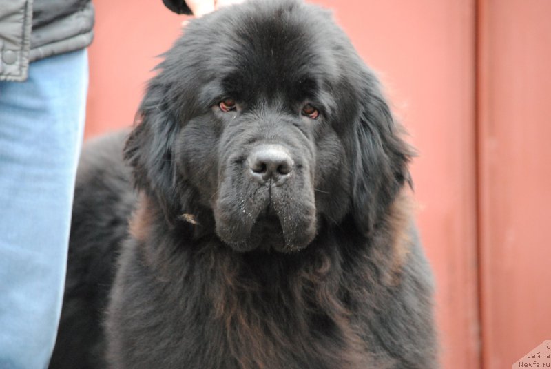 Фотография № 197128