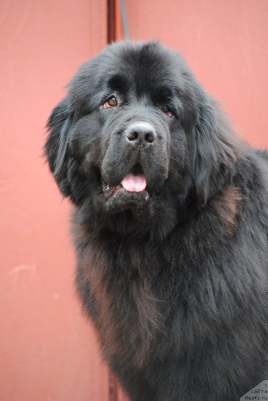 Фотография № 197132