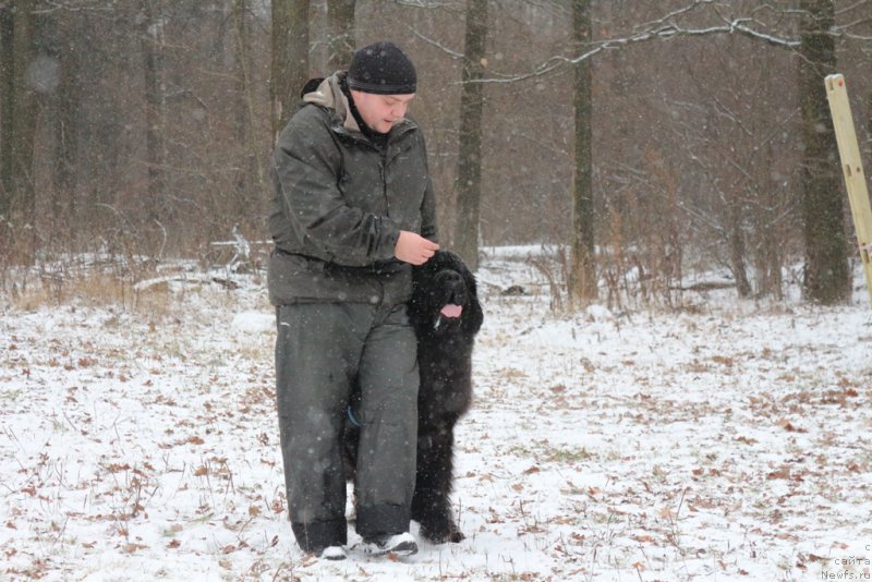 Фото: Aleksandr Ponomaryov (Александр Пономарёв)