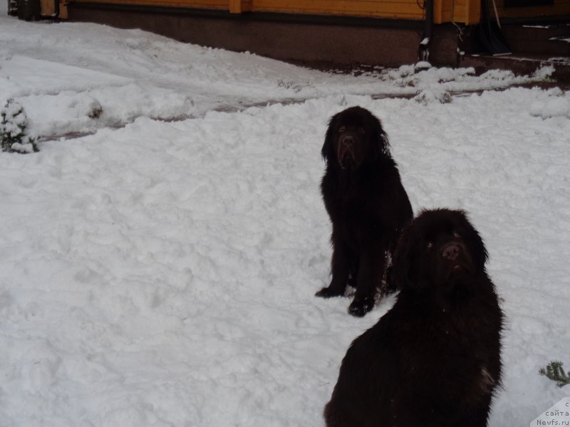 Фотография № 197164