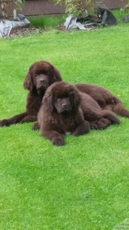 Фотография № 197167