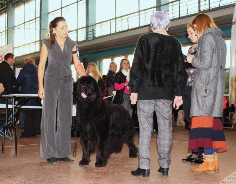 Фото: Viktor Hrischanovich (Виктор Хрищанович)
