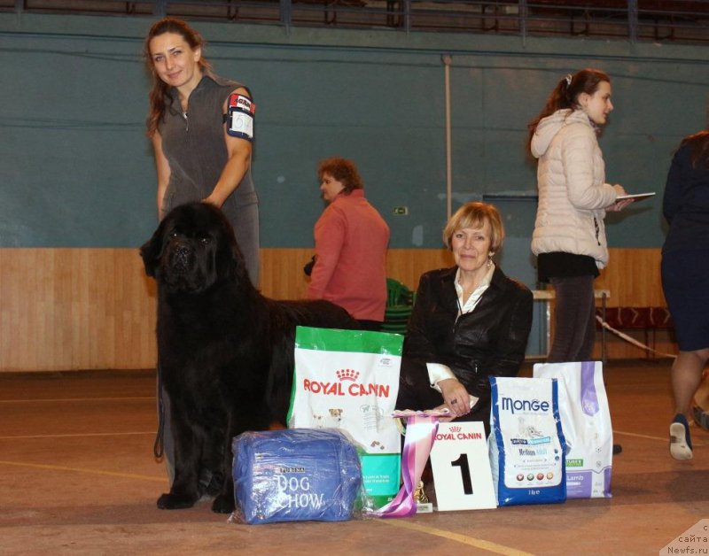 Фотография № 197177