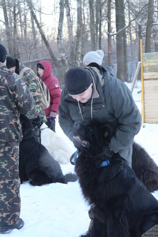 Фото: Aleksandr Ponomaryov (Александр Пономарёв)