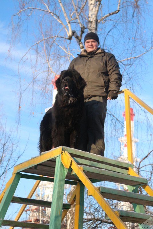 Фото: Aleksandr Ponomaryov (Александр Пономарёв)