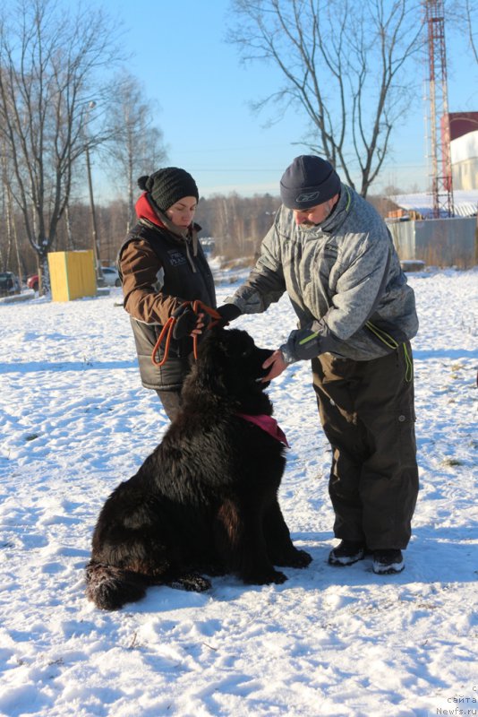 Фото: Aleksandra Fetisova (Александра Фетисова)