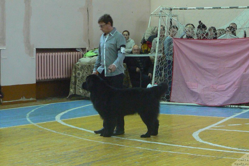 Фотография № 197206