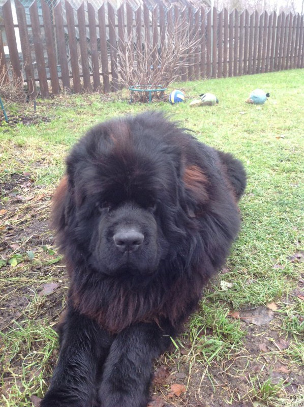 Фотография № 197212