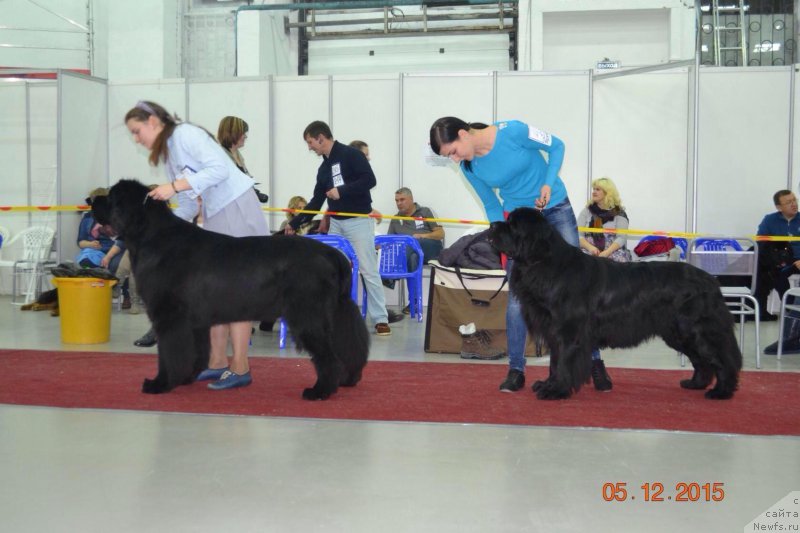 Фотография № 197213