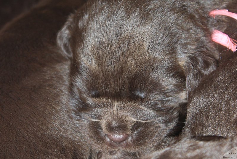 Фотография № 197228