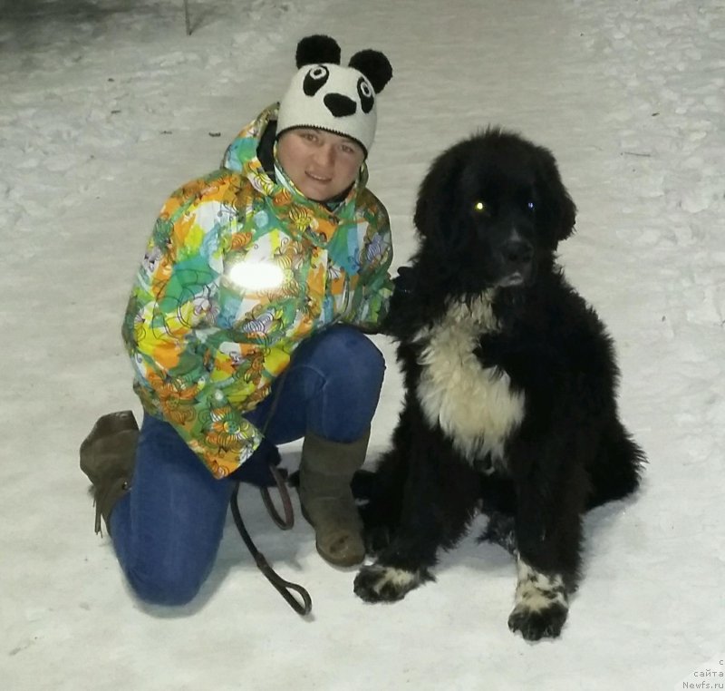 Фотография № 197232