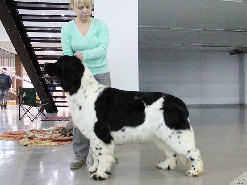 Фотография № 197261