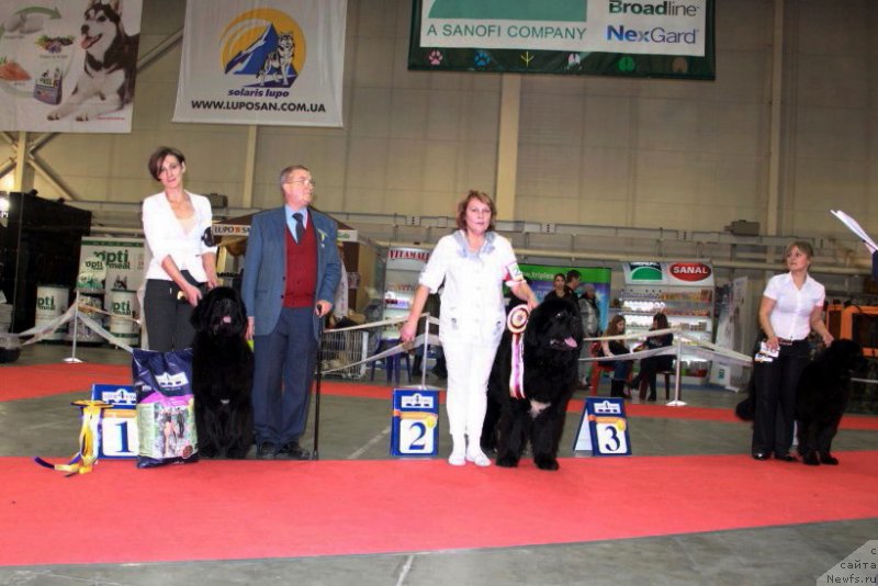 Фотография № 197286