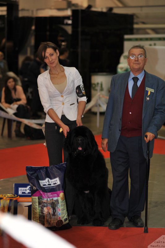 Фотография № 197287