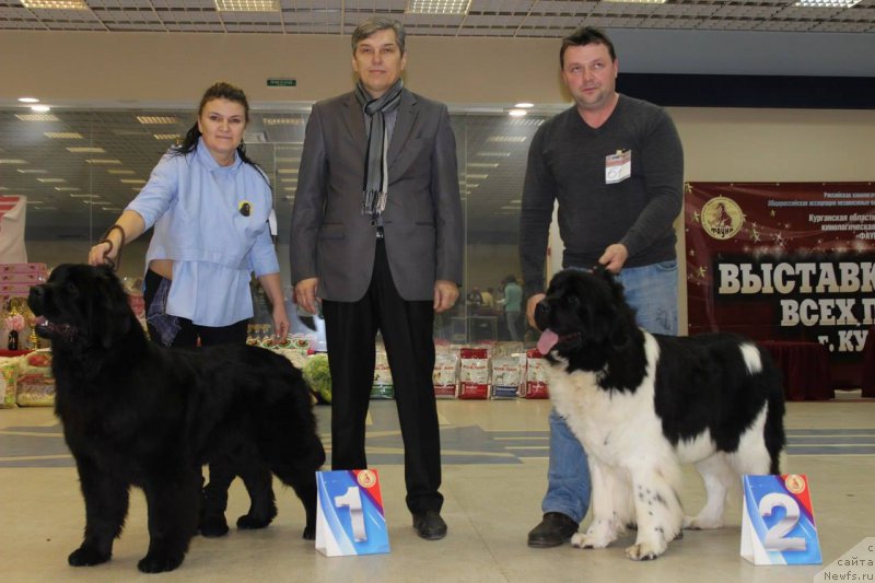 Фотография № 197289