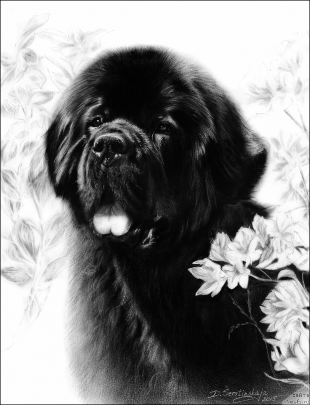 Фотография № 197300