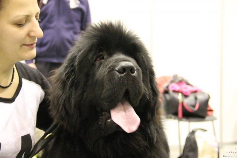 Фотография № 197301