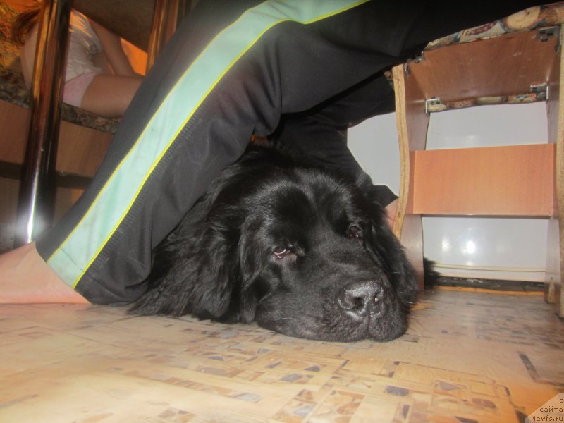 Фотография № 197305