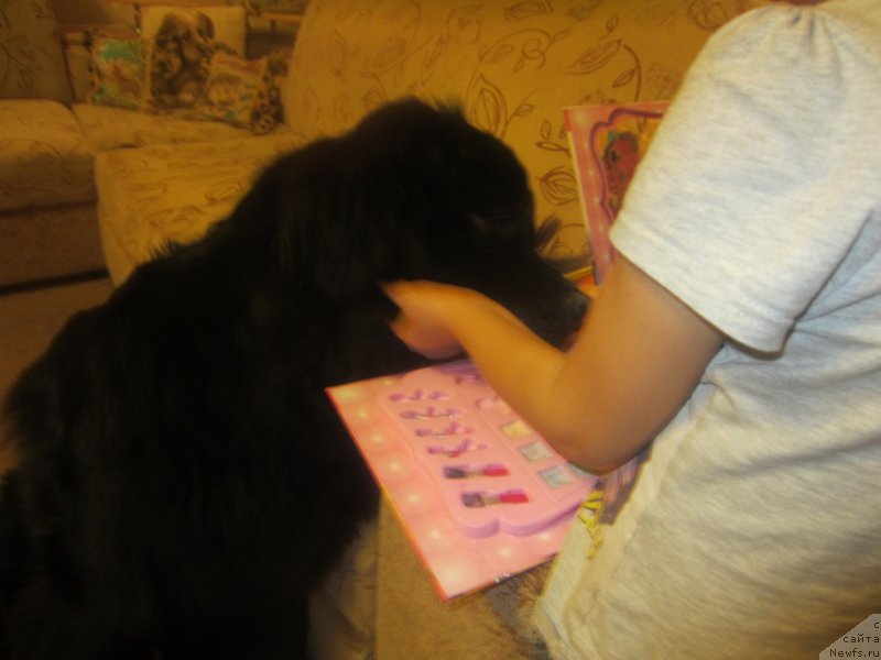 Фотография № 197306