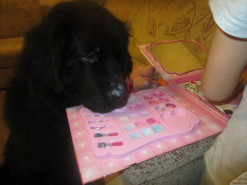 Фотография № 197307