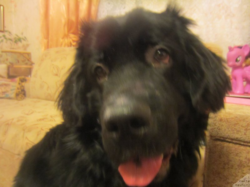 Фотография № 197308