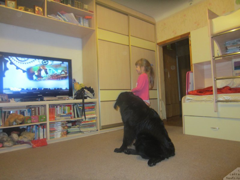 Фотография № 197309