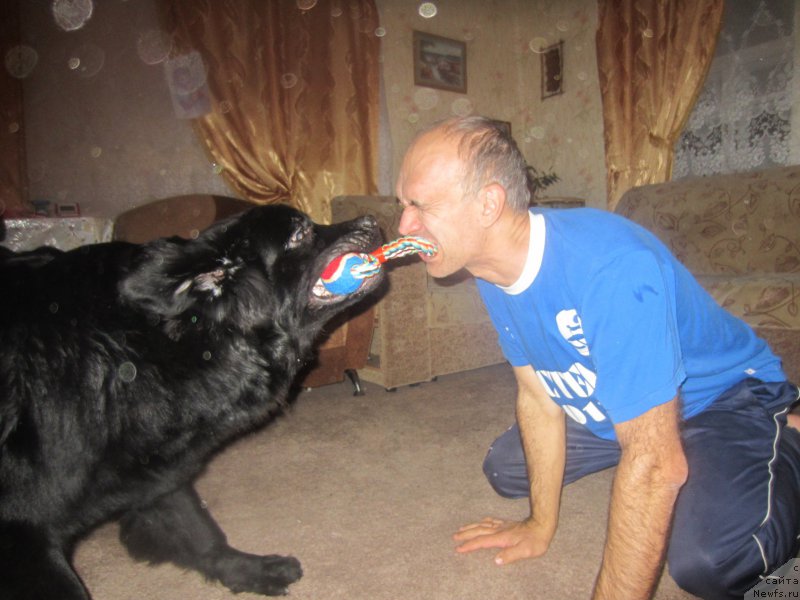 Фотография № 197314