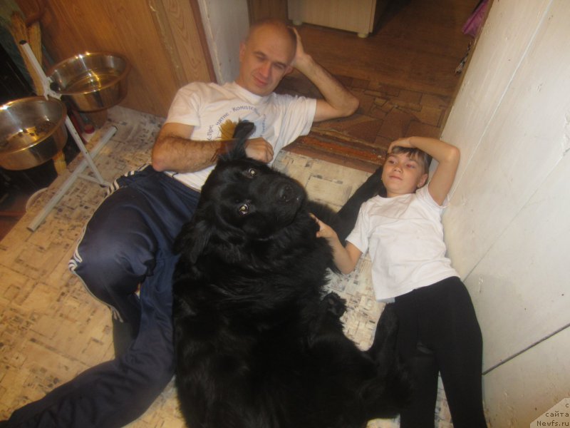 Фотография № 197316