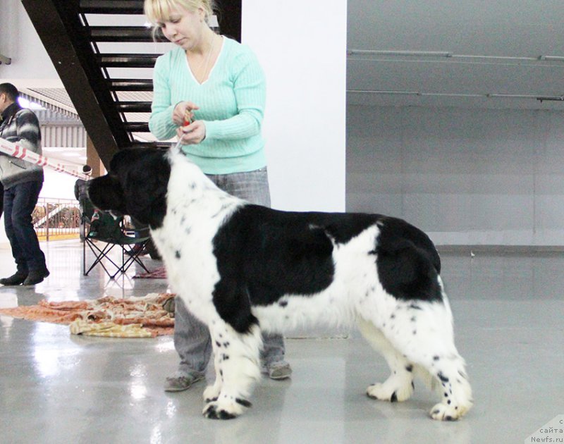 Фотография № 197334